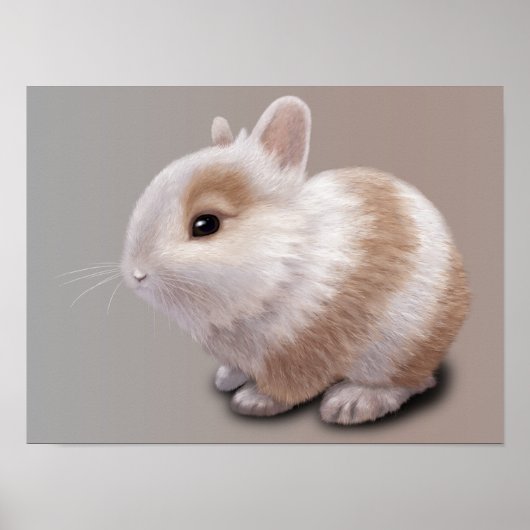 Baby Bunny Poster (Vorne)