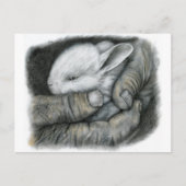 BABY BUNNY POSTKARTE (Vorderseite)