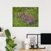 Baby Bunny Print Poster (Heimbüro)
