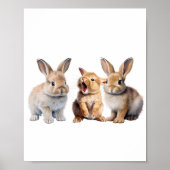 Baby Bunny Rabbit Kinderzimmer Poster (Vorne)
