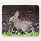"Baby Bunny Rabbit" Mousepad (Vorne)
