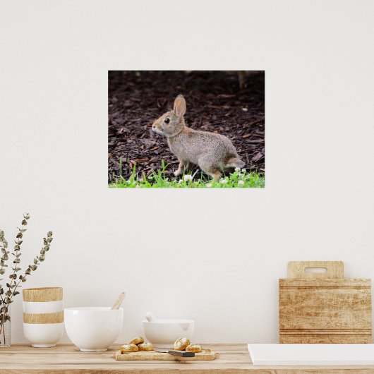 Baby Bunny Rabbit Poster (Küche)