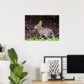 Baby Bunny Rabbit Poster (Heimbüro)