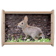 Baby Bunny Rabbit Serviertablett
