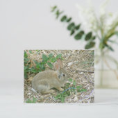 Baby Bunny und Leaf Postkarte (Stehend Vorderseite)