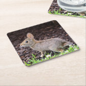 Baby Bunny Untersetzer (angewinkelt)