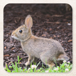 Baby Bunny Untersetzer