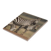 Baby Burchell-Zebra mit Mutter Fliese (Seite)