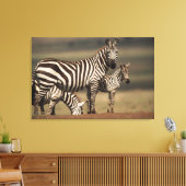 Baby Burchell's Zebra mit Mutter Leinwanddruck (Insitu (Wohnzimmer))