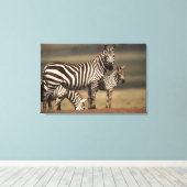 Baby Burchell's Zebra mit Mutter Leinwanddruck (Insitu (Holzboden))
