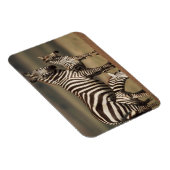 Baby Burchell's Zebra mit Mutter Magnet (Rechte Seite)