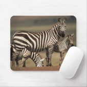 Baby Burchell's Zebra mit Mutter Mousepad (Mit Mouse)