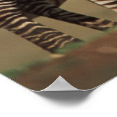Baby Burchell's Zebra mit Mutter Poster (Ecke)