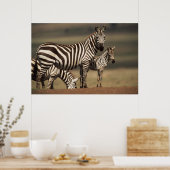 Baby Burchell's Zebra mit Mutter Poster (Küche)