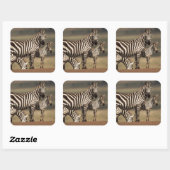Baby Burchell's Zebra mit Mutter Quadratischer Aufkleber (Blatt)