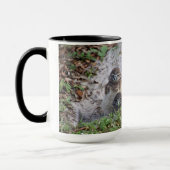 Baby Burrowing Owl Tasse (Links)