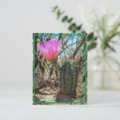 Baby Cactus Postkarte (Stehend Vorderseite)