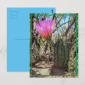 Baby Cactus Postkarte (Vorne/Hinten)