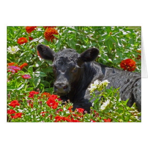Baby Calf in den Blume