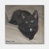 Baby Cali Magnet (Vorne)