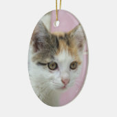 Baby Calico Keramikornament (Links)
