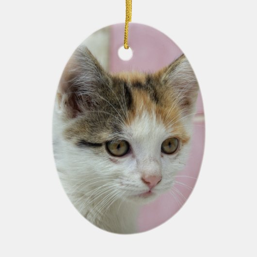 Baby Calico Keramikornament (Vorne)