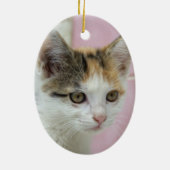 Baby Calico Keramikornament (Hinten)
