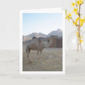 Baby Camel in der Wüste Karte (Gelbe Blume)