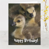 Baby Canada Geese Birds Birthday Grußkarte Karte (Gelbe Blume)