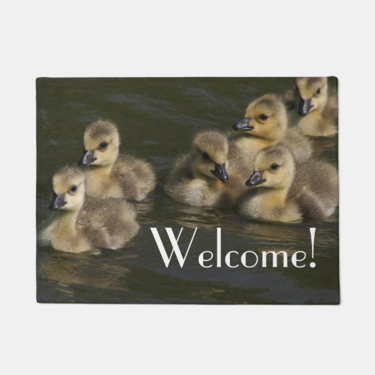 Baby Canada Geese Gosling Wildlife Welcome Doormat Fußmatte (Vorderseite)