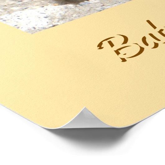 Baby Canada Goose Poster (Ecke)