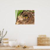 Baby Carolina Wrens Poster (Küche)