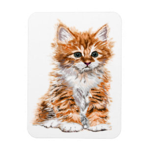 Baby Cat Magnet Geschenk