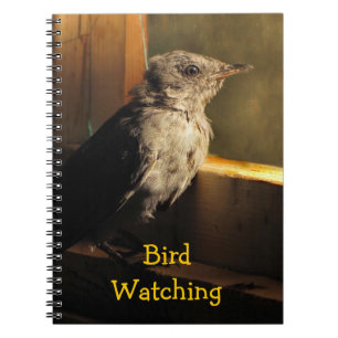 Baby Catbird Notizblock