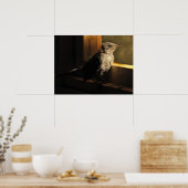 Baby Catbird Poster (Küche)