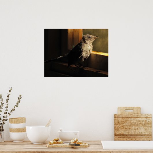 Baby Catbird Poster (Küche)