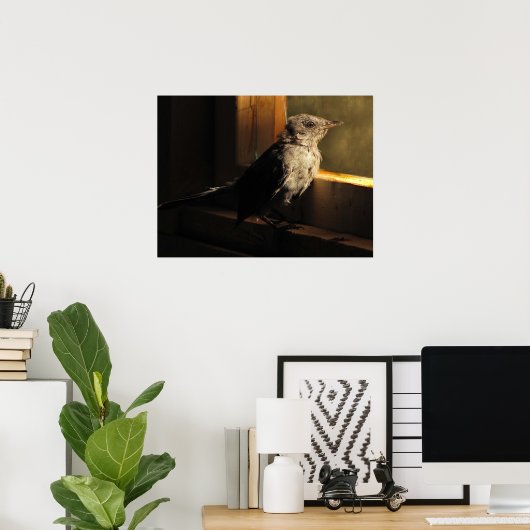Baby Catbird Poster (Heimbüro)