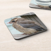 Baby Cedar Waxwing Bird Nature Getränkeuntersetzer (Linke Seite)