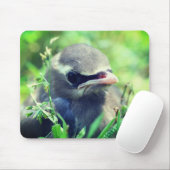 Baby Cedar Waxwing Bird Nature Mousepad (Mit Mouse)