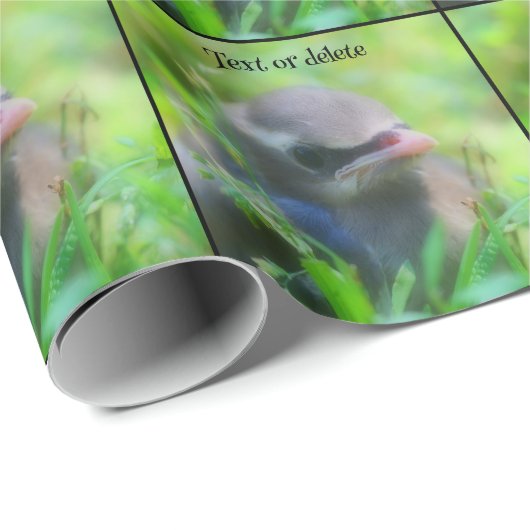 Baby Cedar Waxwing Bird Nature Personalisiert Geschenkpapier (Rolleneckpunkt)