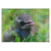Baby Cedar Waxwing Fledgling Bird Animal Schneidebrett (Vorderseite)