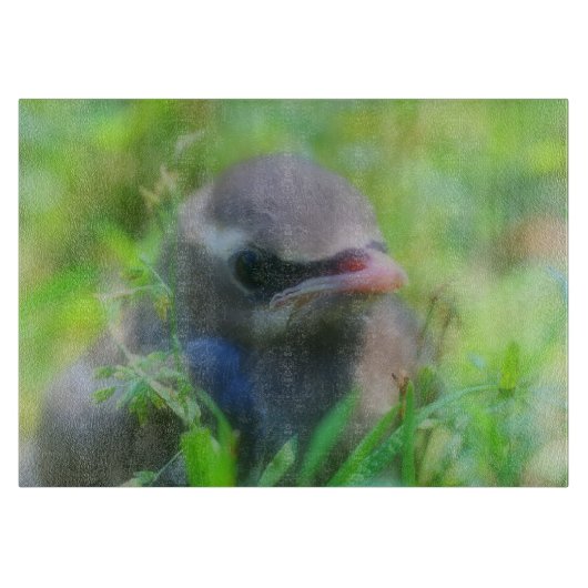 Baby Cedar Waxwing Fledgling Bird Animal Schneidebrett (Vorderseite)