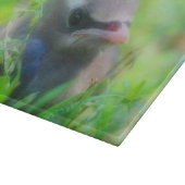 Baby Cedar Waxwing Fledgling Bird Animal Schneidebrett (Ecke)