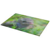 Baby Cedar Waxwing Fledgling Bird Animal Schneidebrett (Ecke)