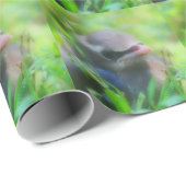 Baby Cedar Waxwing Fledgling Bird Nature Geschenkpapier (Rolleneckpunkt)