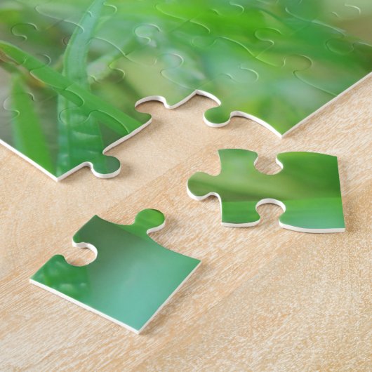 Baby Cedar Waxwing Fledgling Bird Nature Puzzle (Seite)