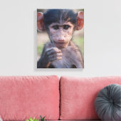 Baby Chacma Baboon Leinwanddruck (Insitu (Wohnzimmer))