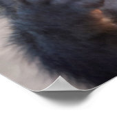 Baby Chacma Baboon Poster (Ecke)