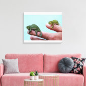 Baby Chamäleons Perspektive Leinwanddruck (Insitu (Wohnzimmer))