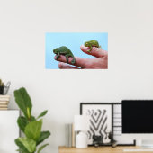 Baby Chamäleons Perspektive Poster (Heimbüro)